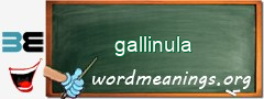 WordMeaning blackboard for gallinula